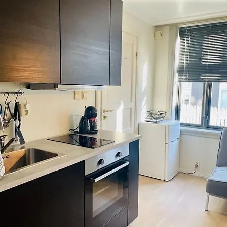 Central Studio Apartment Lejlighed Bergen