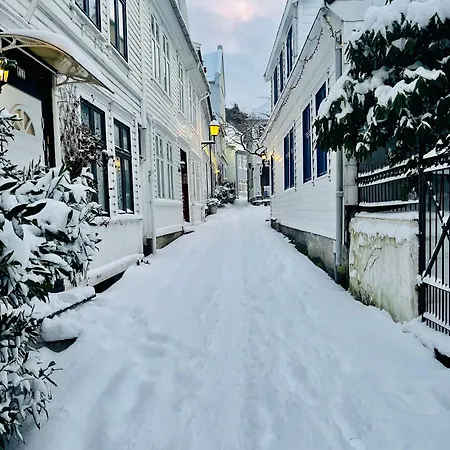 Central Studio Apartment Apartment